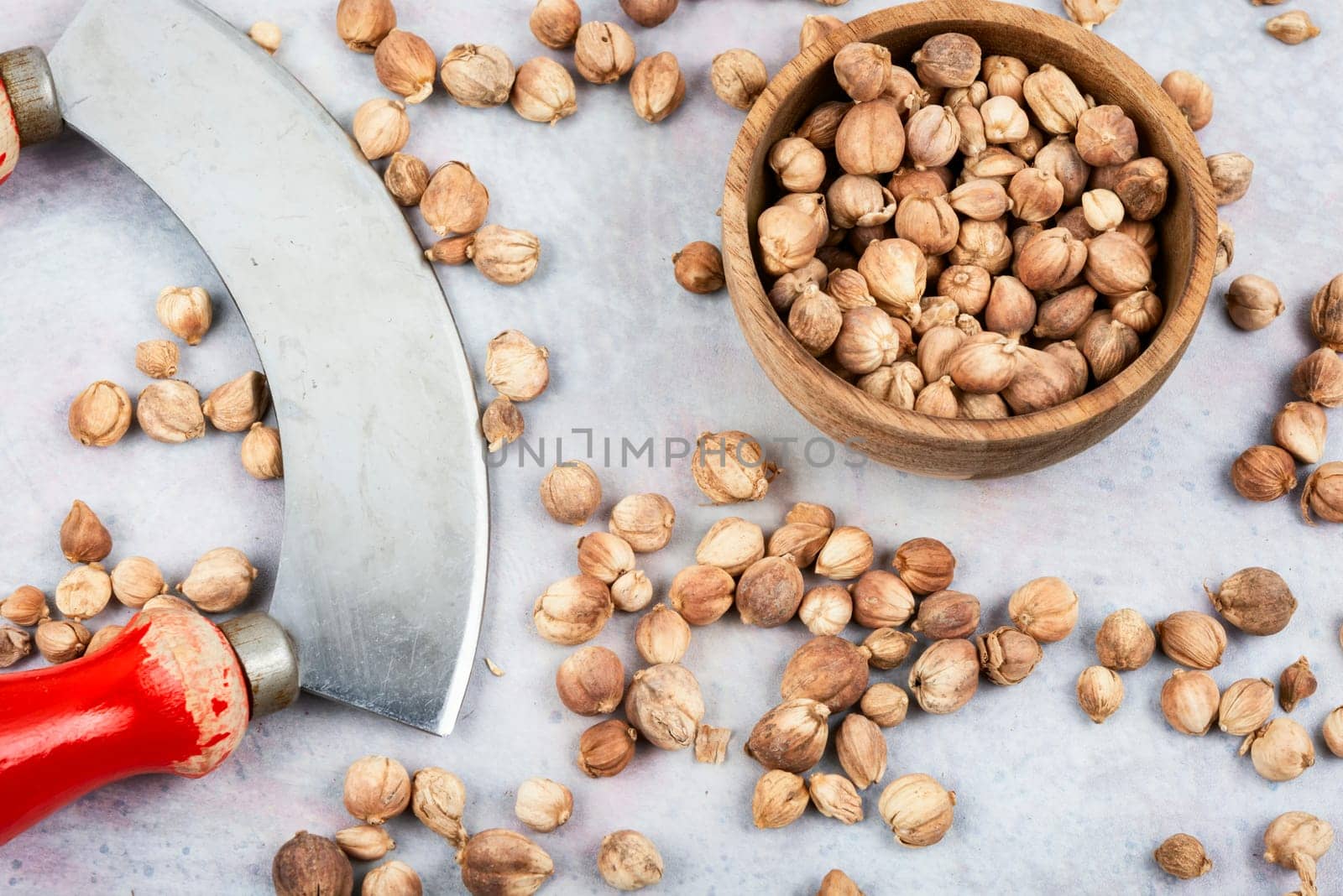Fragrant white cardamom in a wooden bowl, spice. Indian cooking.