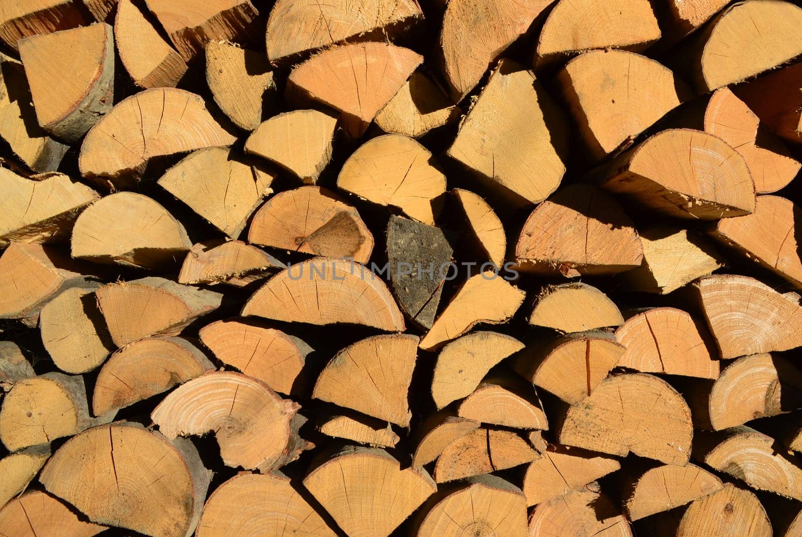 Firewood background with dry chopped fire wood