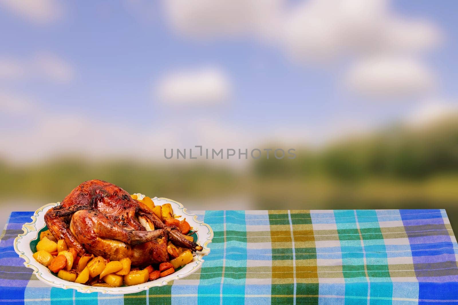 Grilled whole guinea fowl or baked pearl chicken on roasted potatoes and vegetables with port wine sauce on a plate over abstract blurred natural background. Copy space.