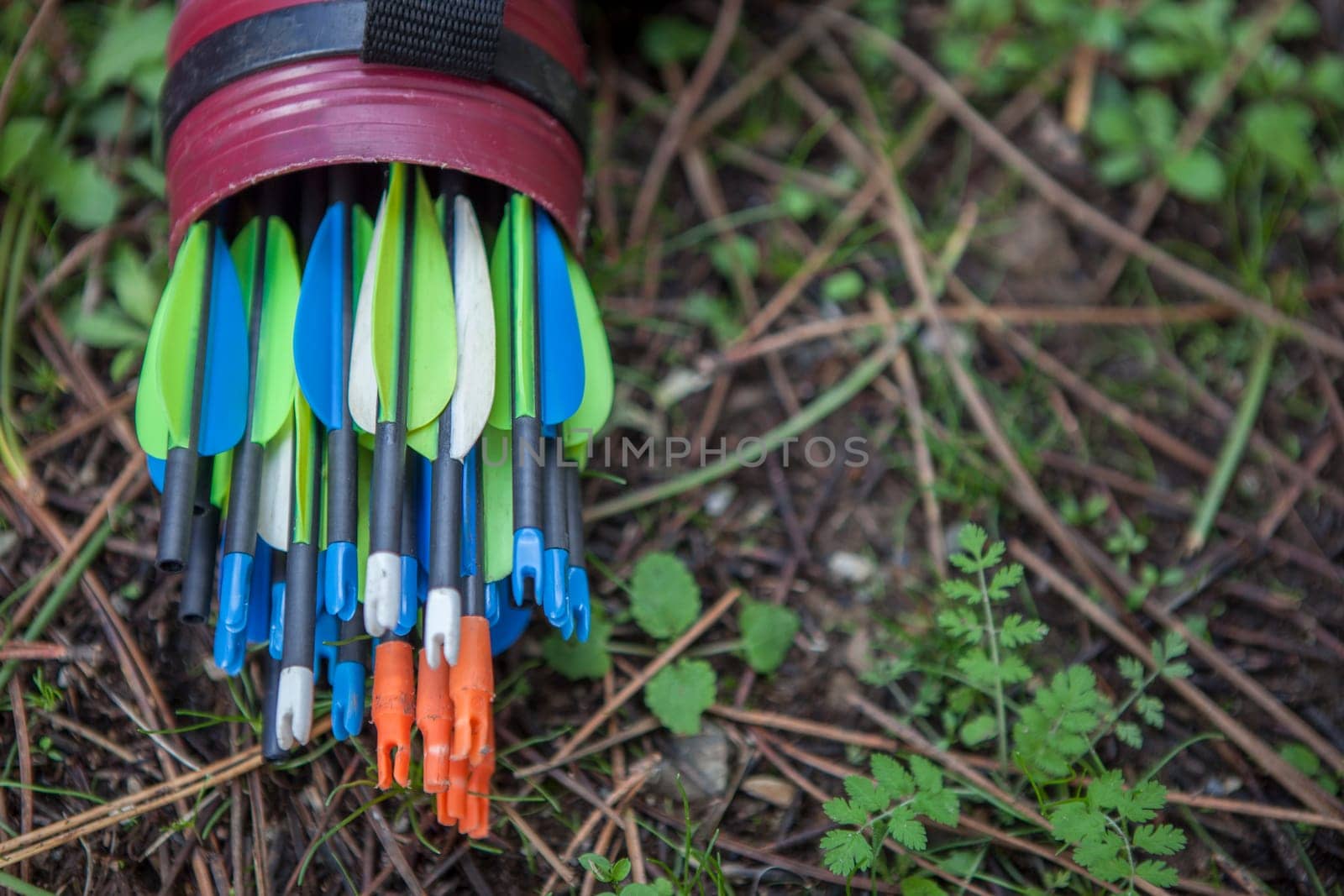 Fiber purple quiver full of arrows over forest ground. Selective focus