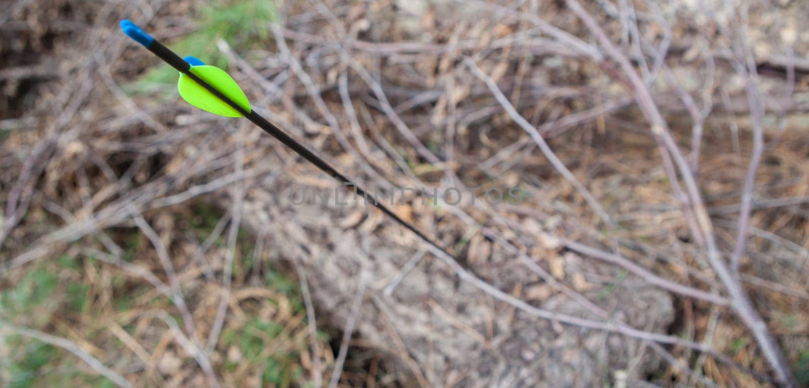 Sports arrow stuck in a log. Focus on straight parabolic fletchings