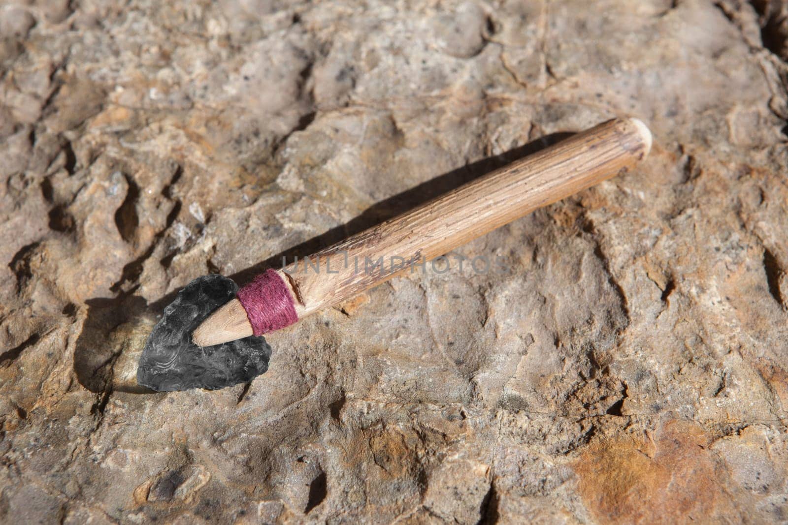 Prehistorical arrowhead built in short shaft. Replica made of glass for educational purposes