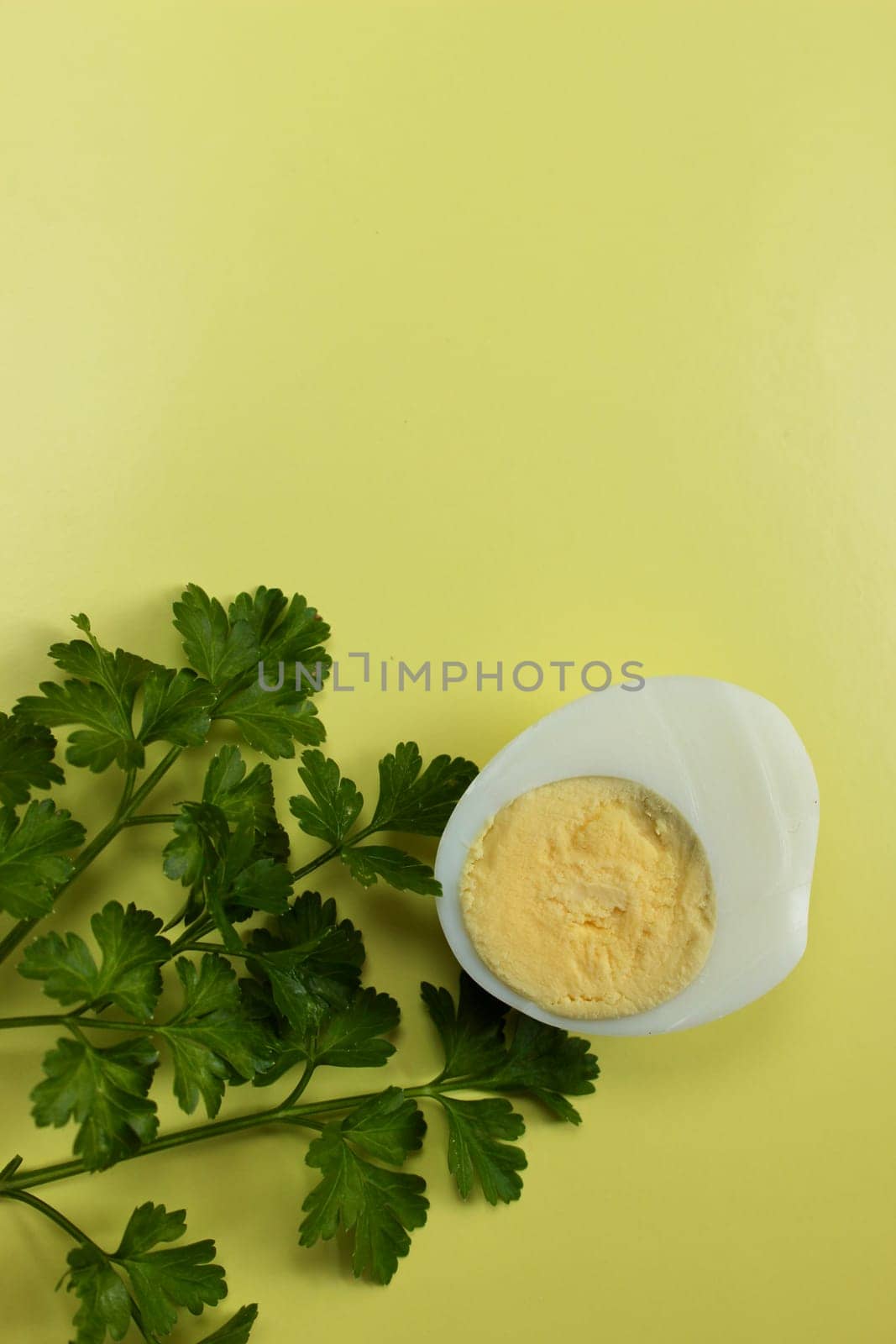Green parsley and a boiled chicken egg on a yellow background.