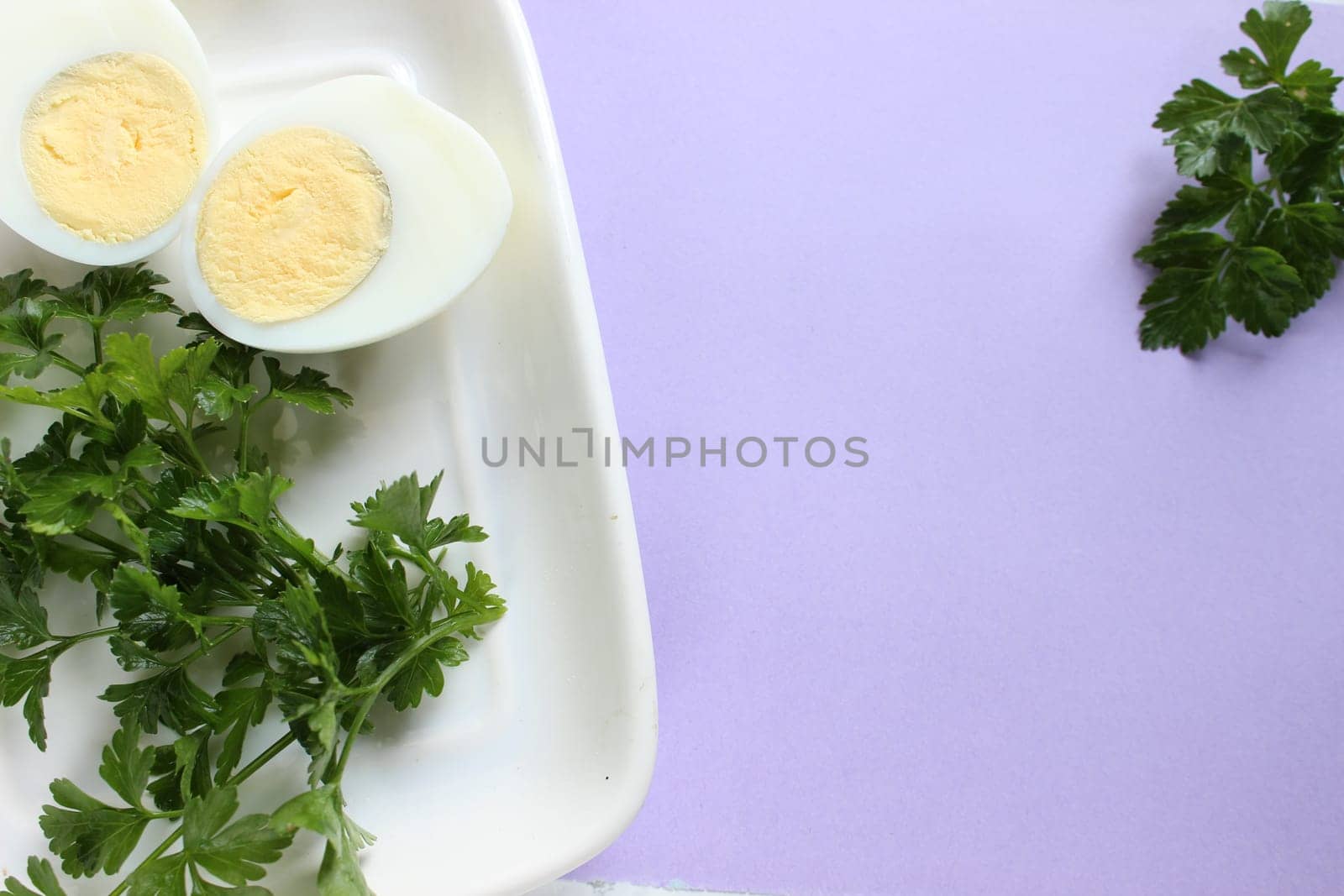 Boiled chicken egg and parsley on a purple pink background.