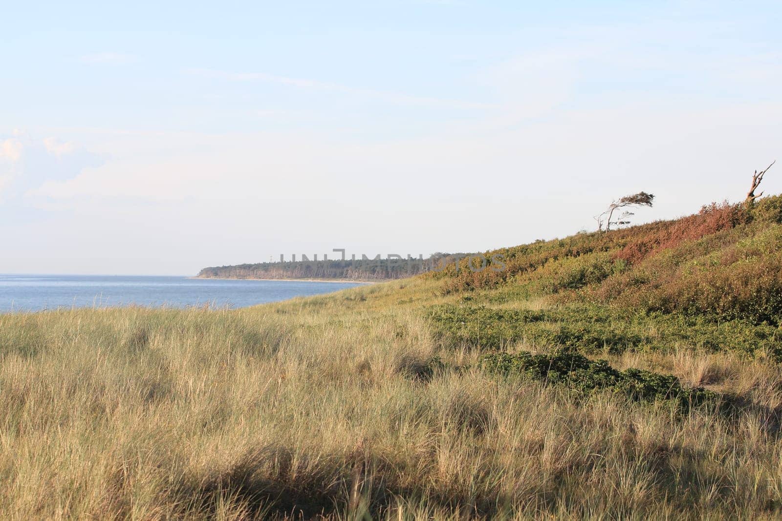 The Western Pomerania Lagoon Area National Park (Nationalpark Vorpommersche Boddenlandschaft) is Mecklenburg-Vorpommern's largest national park, situated at the coast of the Baltic Sea