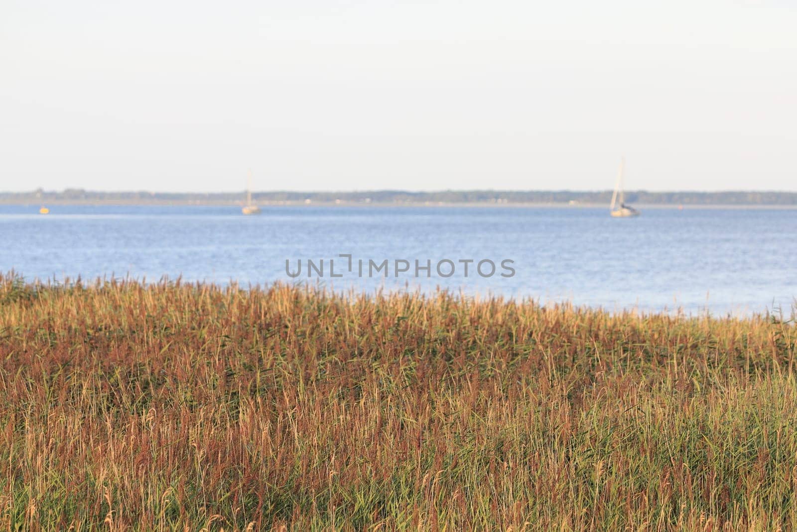 The island of Bock lies in the Baltic Sea southwest of the island of Hiddensee and east of the peninsula of Zingst