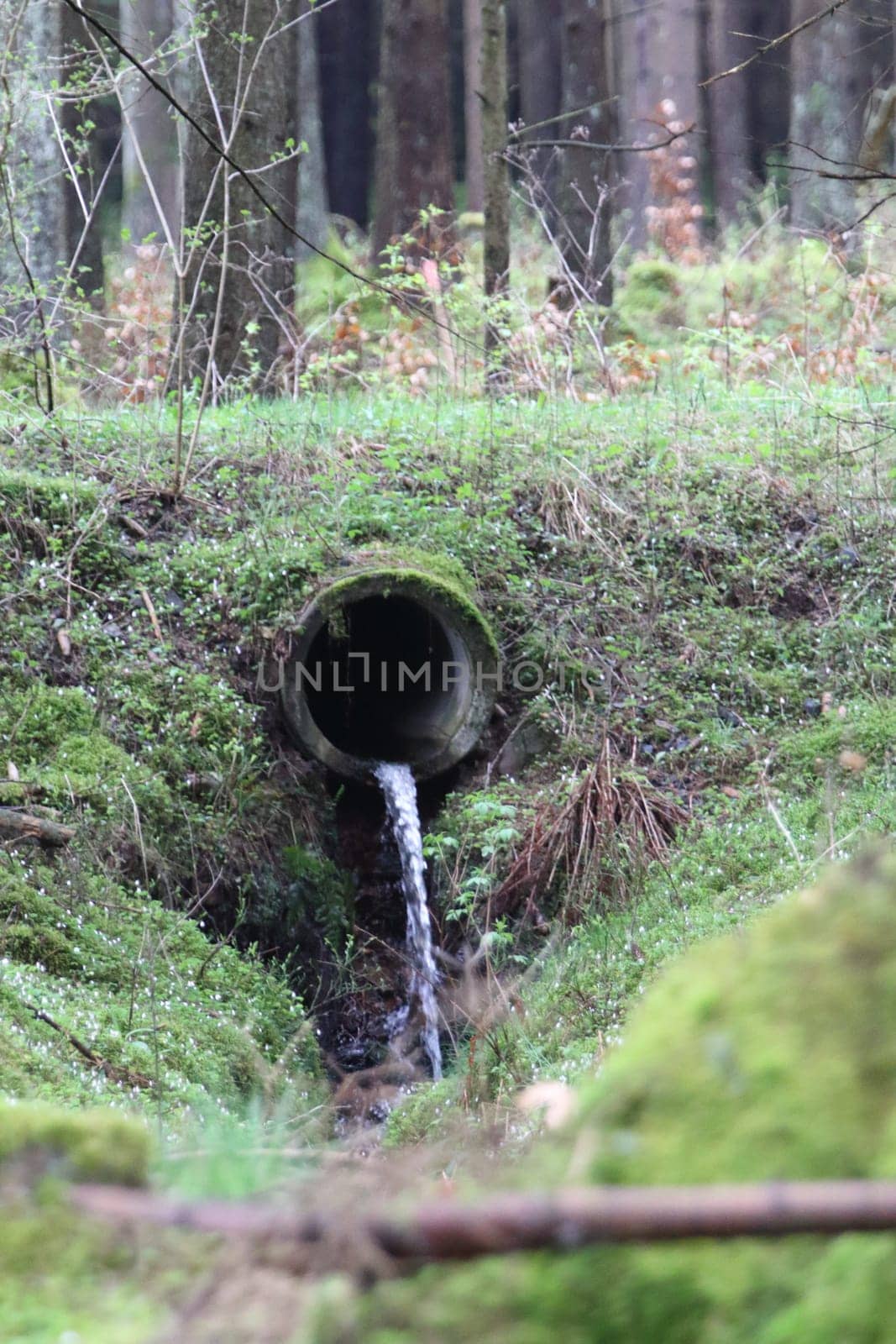 Snapshot from the National Park  Hunsrueck-Hochwald, is a national park located in the Hunsrueck region of Rhineland-Palatinate and the Saarland in Germany