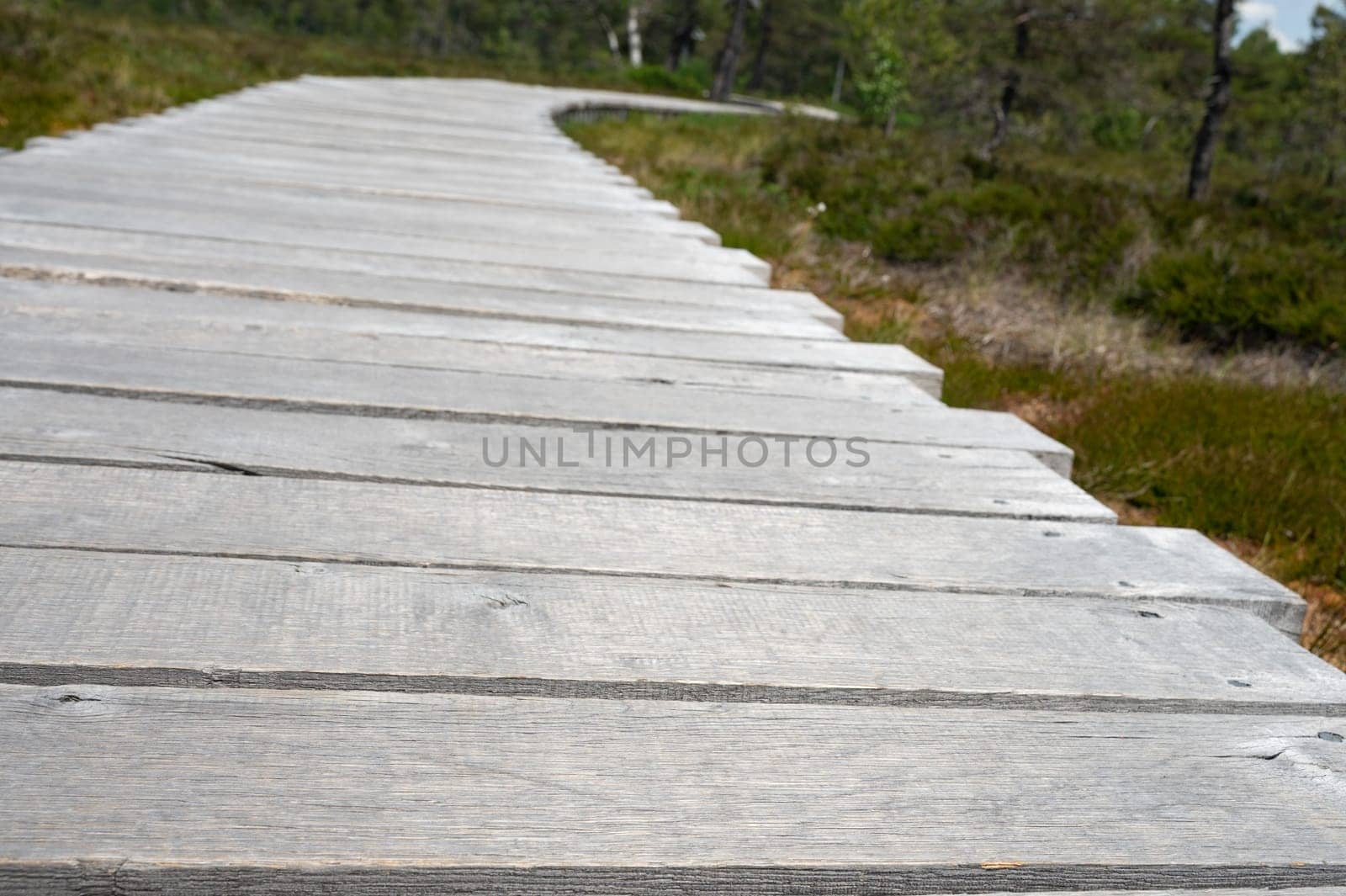 Black moor with a new wooden path in the Rhoen, Bavaria, Germany