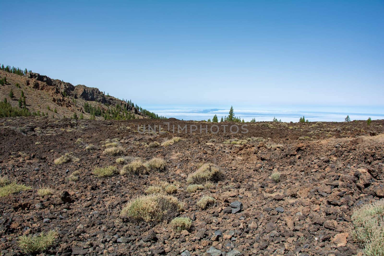 Volcanic landscape in El Teide National Park on the Canary Island of Tenerife, Spain