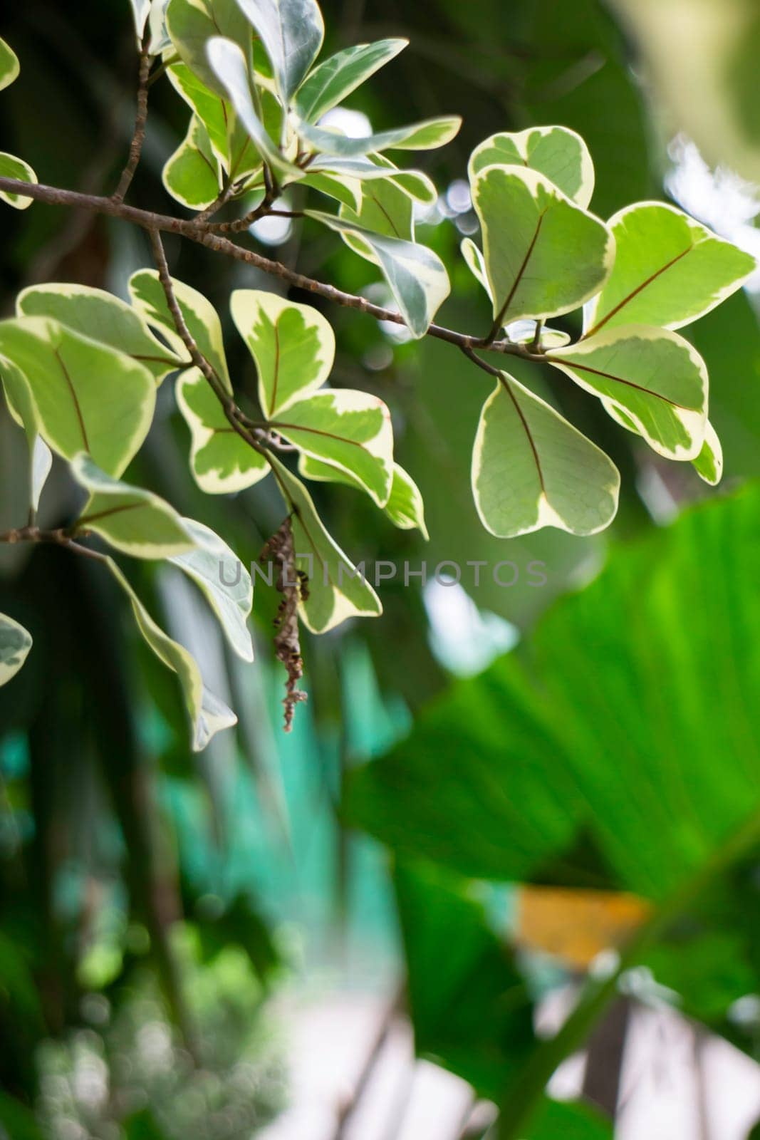 Interior of cozy coffee shop atmosphere, stock photo