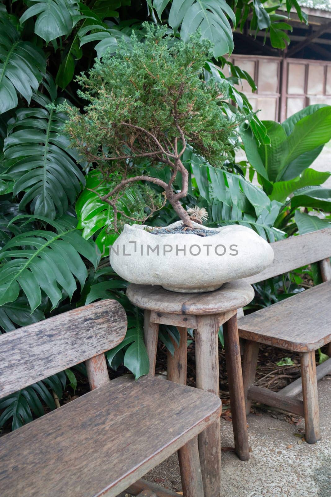 Interior of cozy coffee shop atmosphere, stock photo