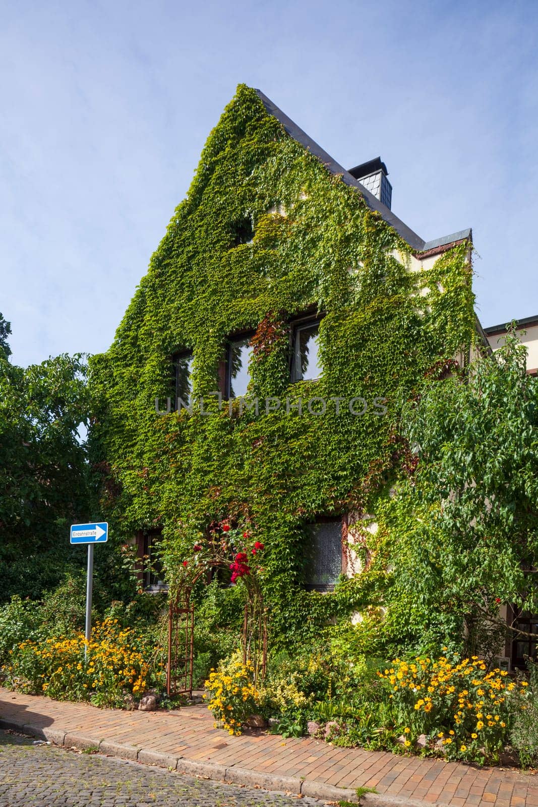 Old overgrown residential building, Celle, Lower Saxony, Germany, Europe
