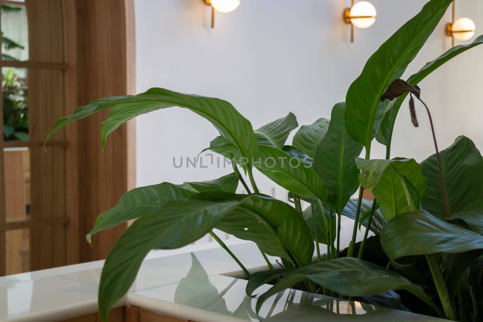 Interior of stylish white and green room, stock photo