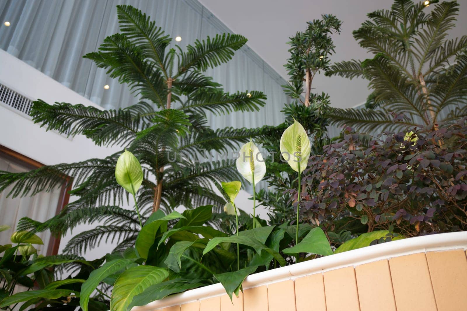 Interior of stylish white and green room, stock photo