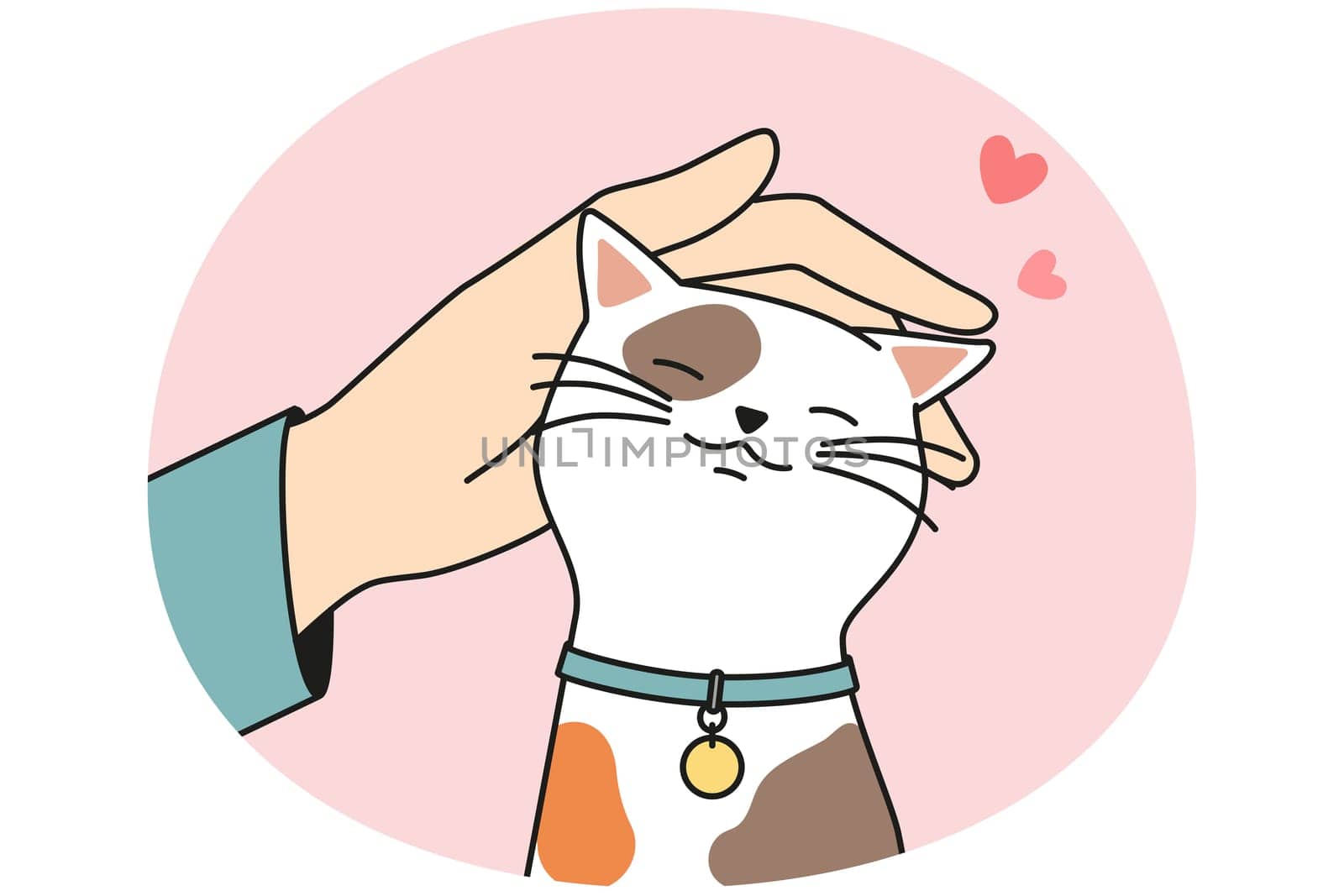 Hand caress cute cat
