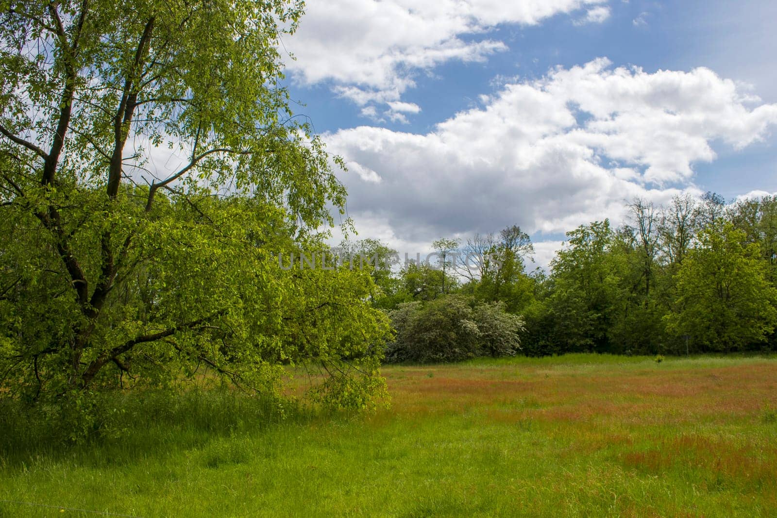 German countryside landscape, Lower Rhine Region, Germany