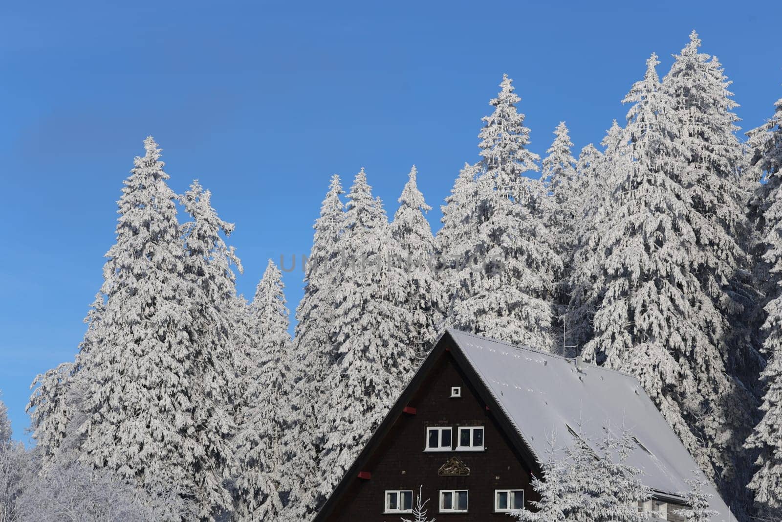 First onset of winter in Germany.   In the Upper Black Forest,as here on the Feldberg (Breisgau-Hochschwarzwald district),there were the first heavy snowfalls on Tuesday with the cold air and temperatures below freezing point - on Wednesday the landscape presented itself in its best white winter dress. Sugar-covered fir trees with a snow depth of a good 40 centimetres,sunshine attracted the first winter sports enthusiasts to the highest elevation in the country. On the first weekend in December,the winter sports season on the Feldberg is to be opened.