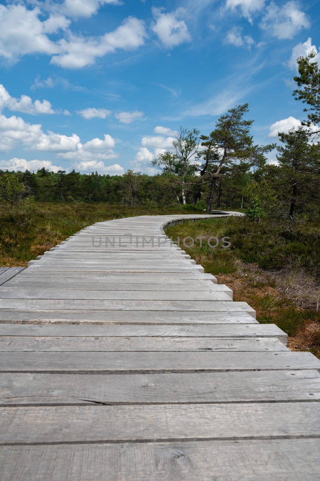 Black moor with a new wooden path in the Rhoen, Bavaria, Germany