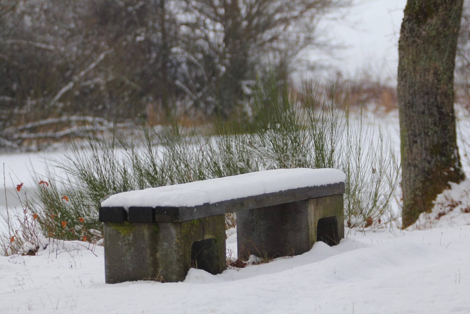Bank covered with snow in a winter landscape