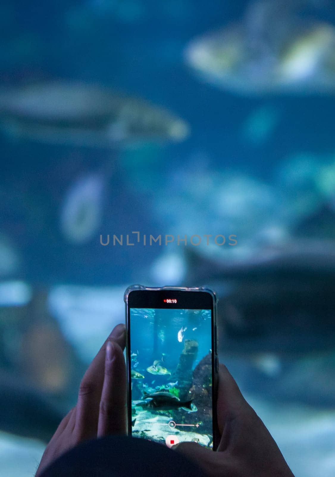 Visitor taking pictures with smarphone at aquarium. Soft noise
