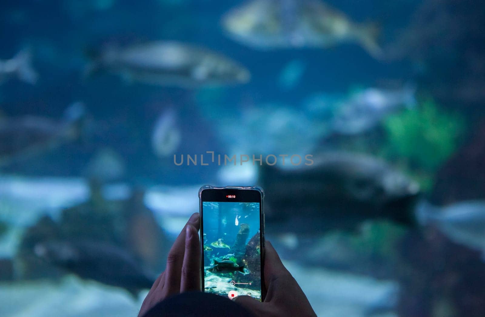 Visitor taking pictures with smarphone at aquarium. Soft noise