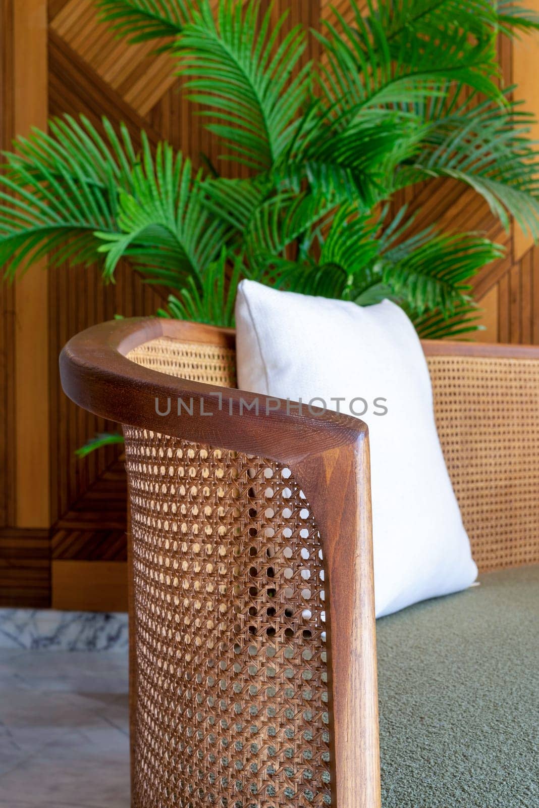 A modern cozy wicker couch with a white pillow and a palm tree in the background in a living room