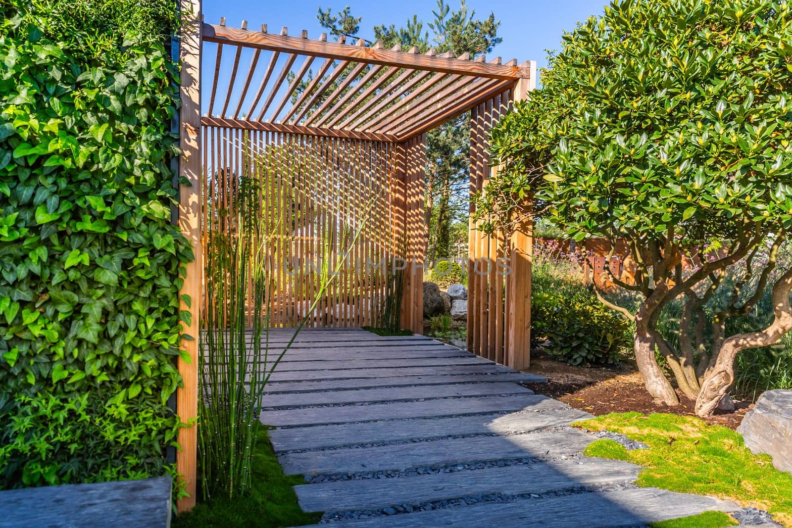 Modern wooden arbor. Modern wooden roofing in courtyard, backyard, terrace or patio