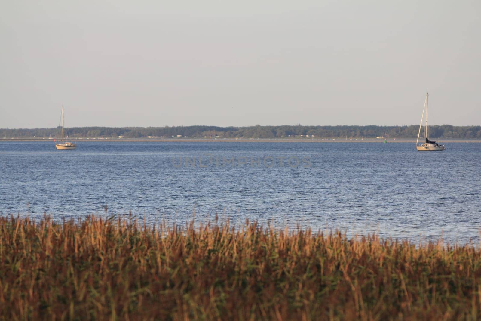 The island of Bock lies in the Baltic Sea southwest of the island of Hiddensee and east of the peninsula of Zingst