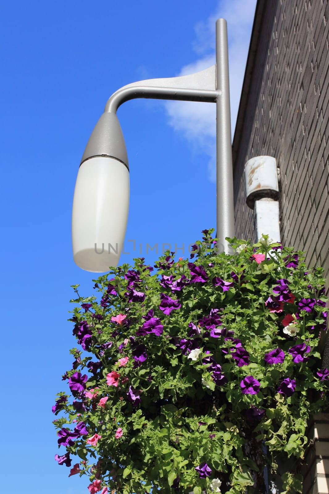 A flowered streetlight, blue sky in the background