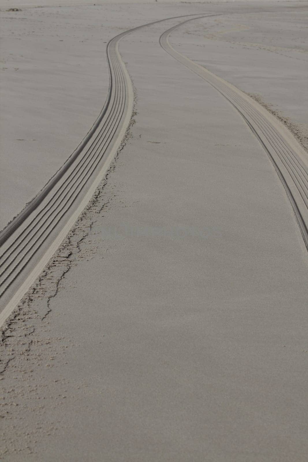 The fresh tire track of a vehicle in the wet sand