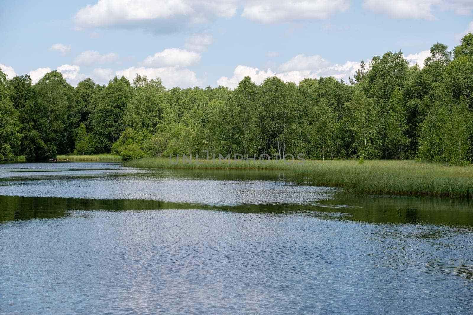 Reservoir at the red moor in the high Rhoen, Hesse, Germany. With blue sky and white clouds and reflection in the water