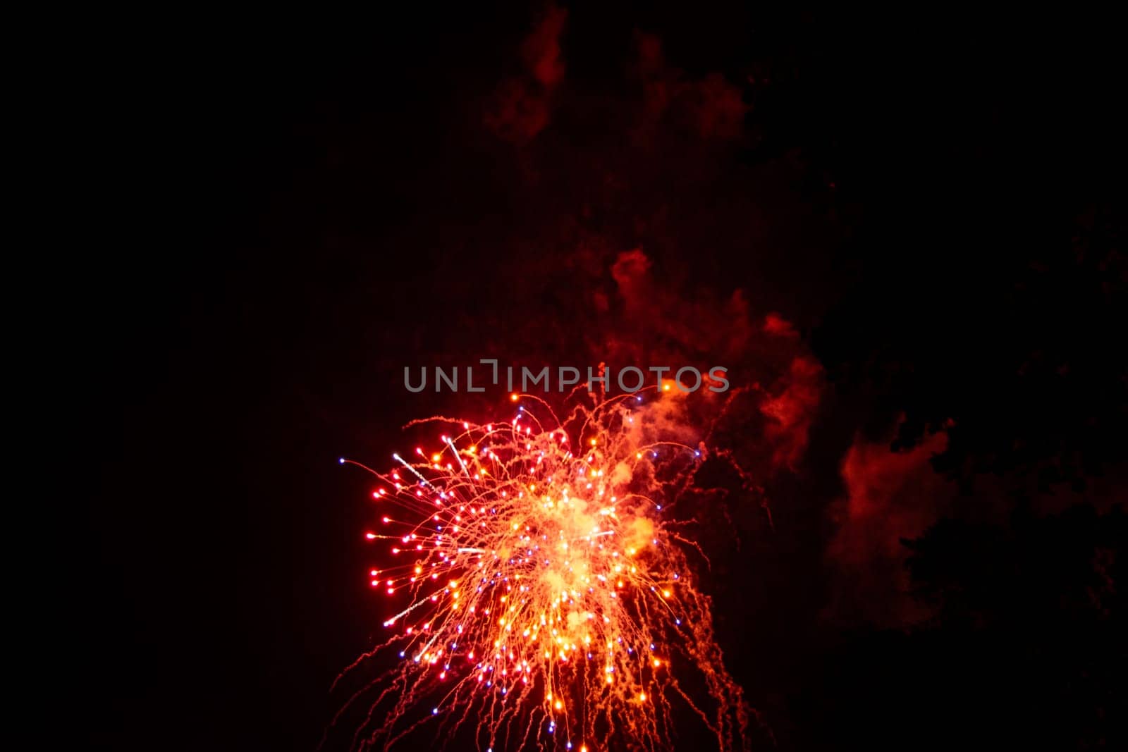 Big colorful fireworks in the black night sky