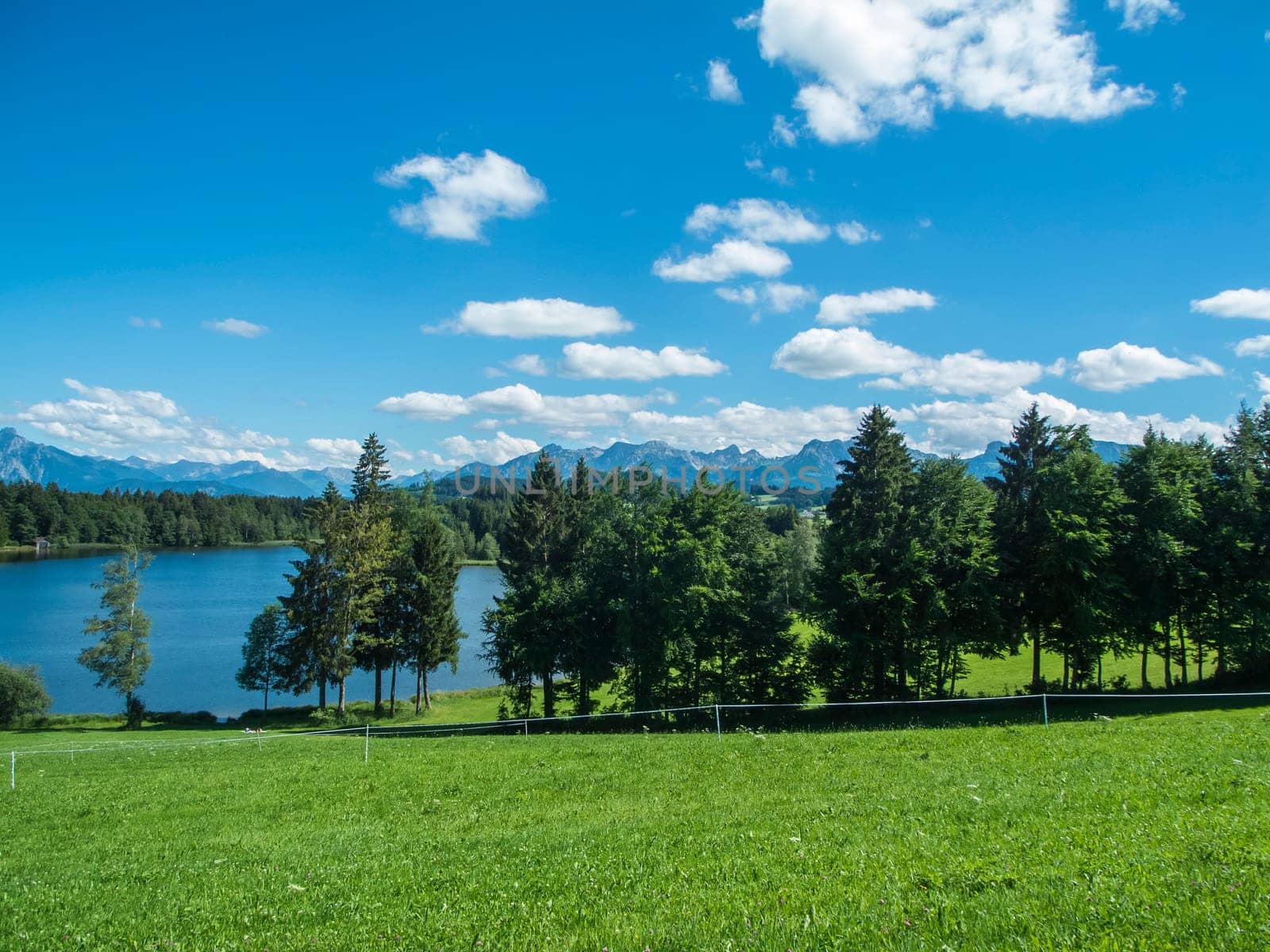 Landscape view at the Schwaltenweiher with a meadow in the foreground. View over the pond and a panoramic view of the first high mountain foothills of the Austrian Alps in front of a blue sky with thin white clouds.