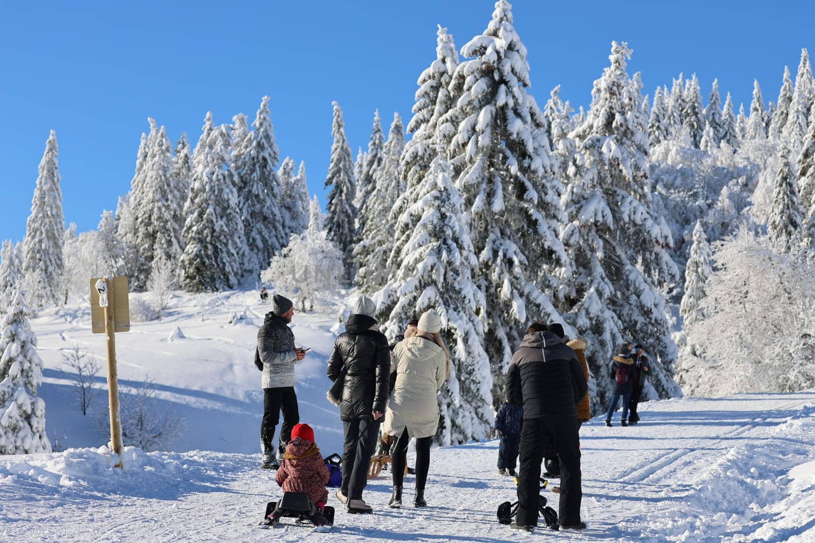 Winter hikers and families with their children enjoy the moment in the snow on the Feldberg - opening of the winter sports season 2023-24  In picture-perfect weather with blue skies,pure sunshine and over half a metre of snow,the ski season was opened on the 1,493-metre-high Feldberg (Breisgau-Hochschwarzwald district). Several hundred winter sports enthusiasts frolicked in the snow on skis and snowboards. Others took the opportunity for a first winter walk or a toboggan ride in a dreamlike snow-covered winter landscape on the Höchsten. But in the next few days the weather is expected to become more unstable again