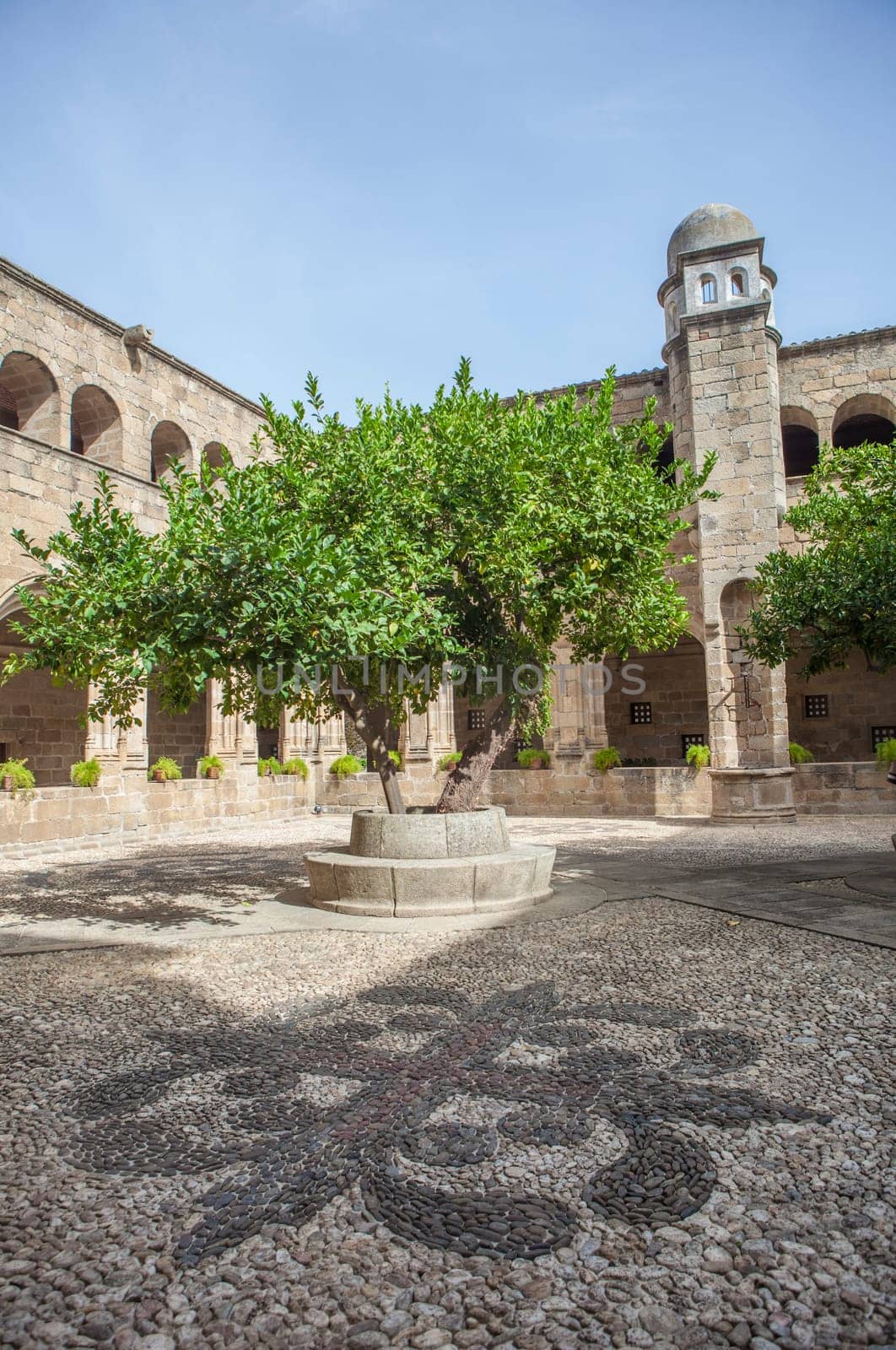 Alcantara, Spain - Oct 6th, 2022: Gothic Cloister of Convent of San Benito de Alcantara, Caceres, Spain. Former refectory
