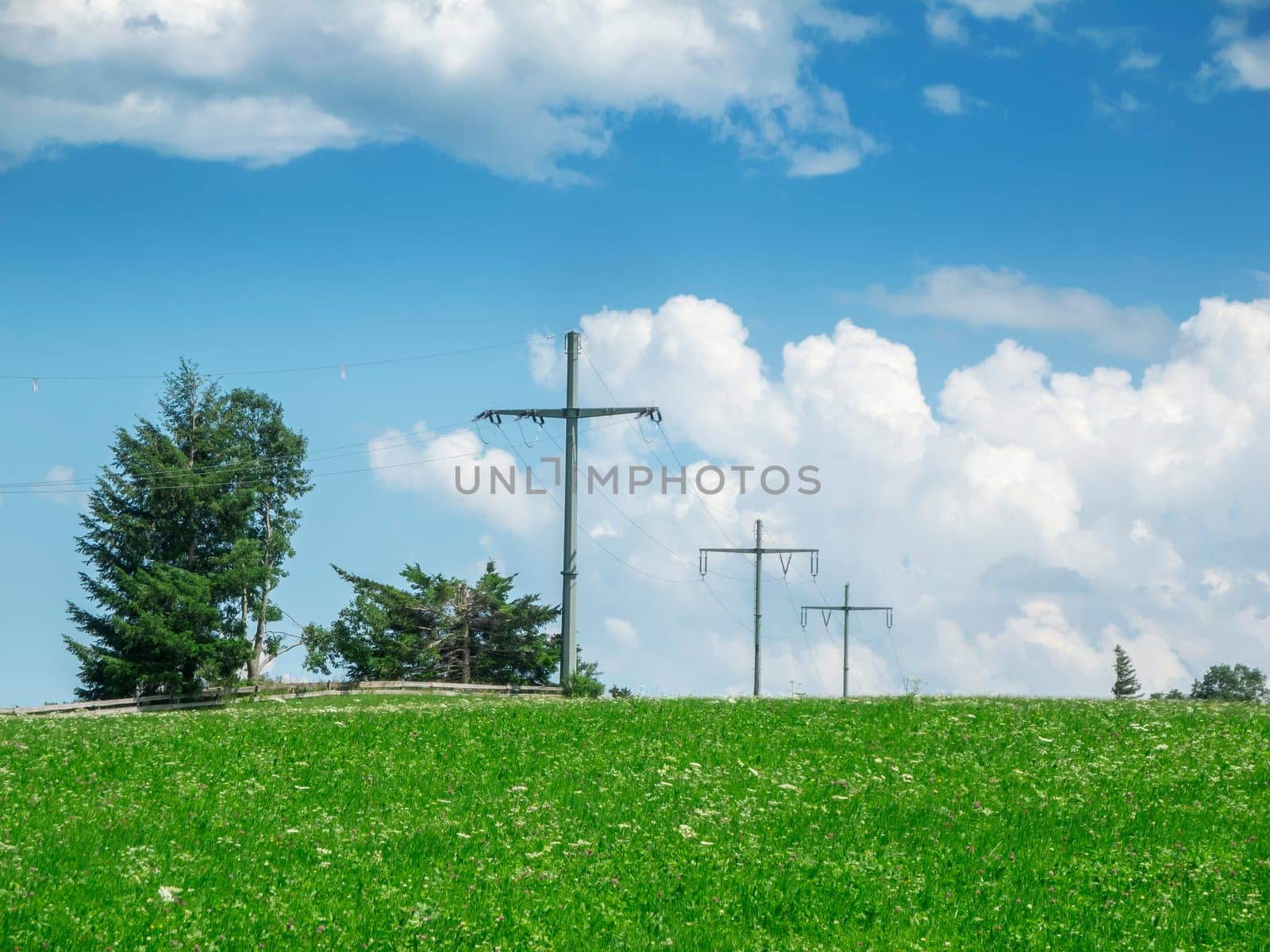 Overhead power line with four masts on a hill in the Allgäu in summer in front of a blue sky with white clouds.