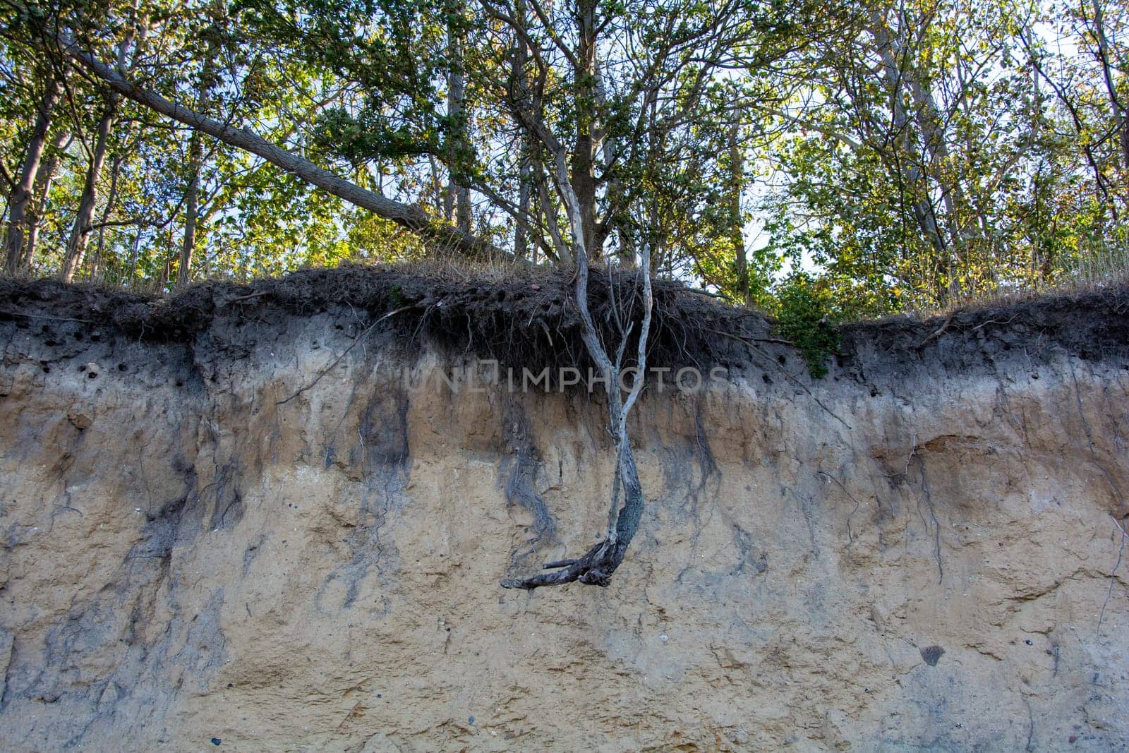 Dangerous cliffs with demolition danger on the island of Poel on the Baltic Sea, Germany
