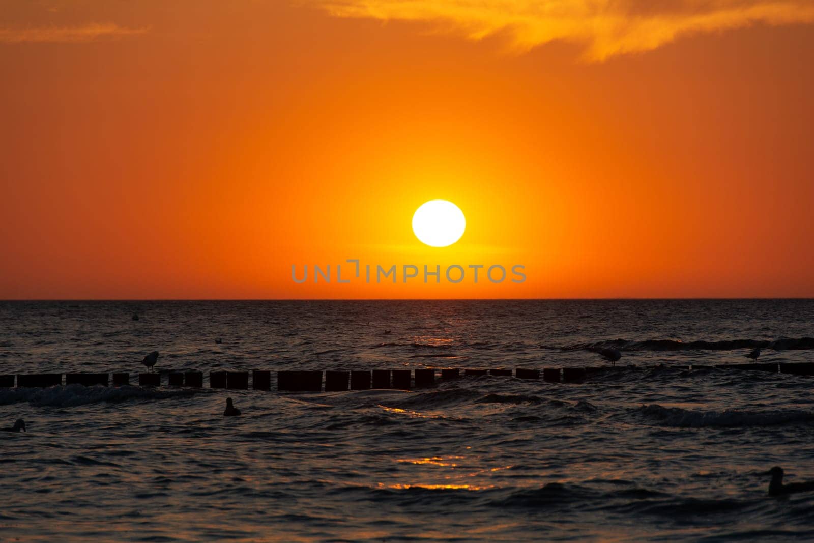 Orang - red sunset over the ocean, with wooden post breakwater and seagulls