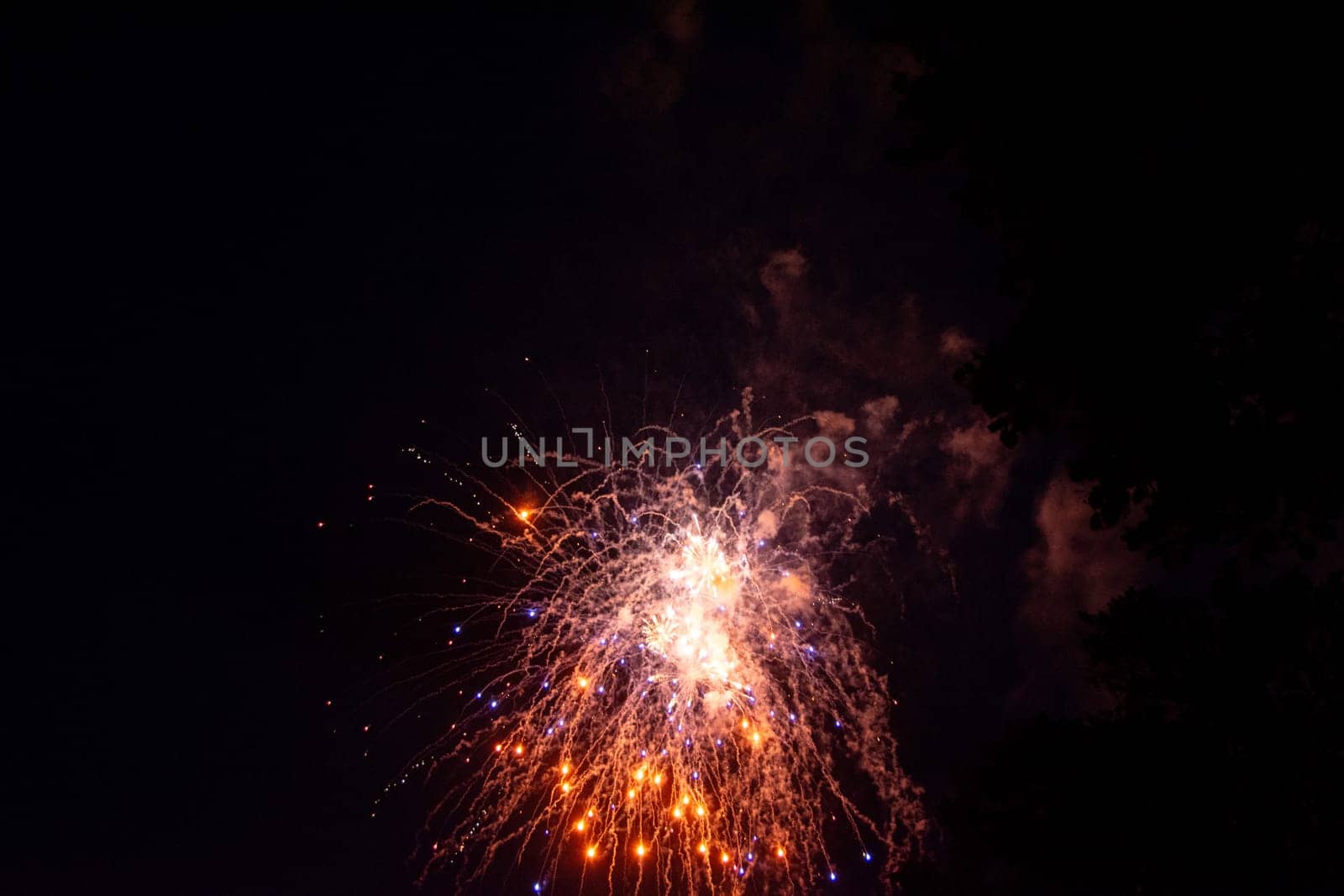 Big colorful fireworks in the black night sky