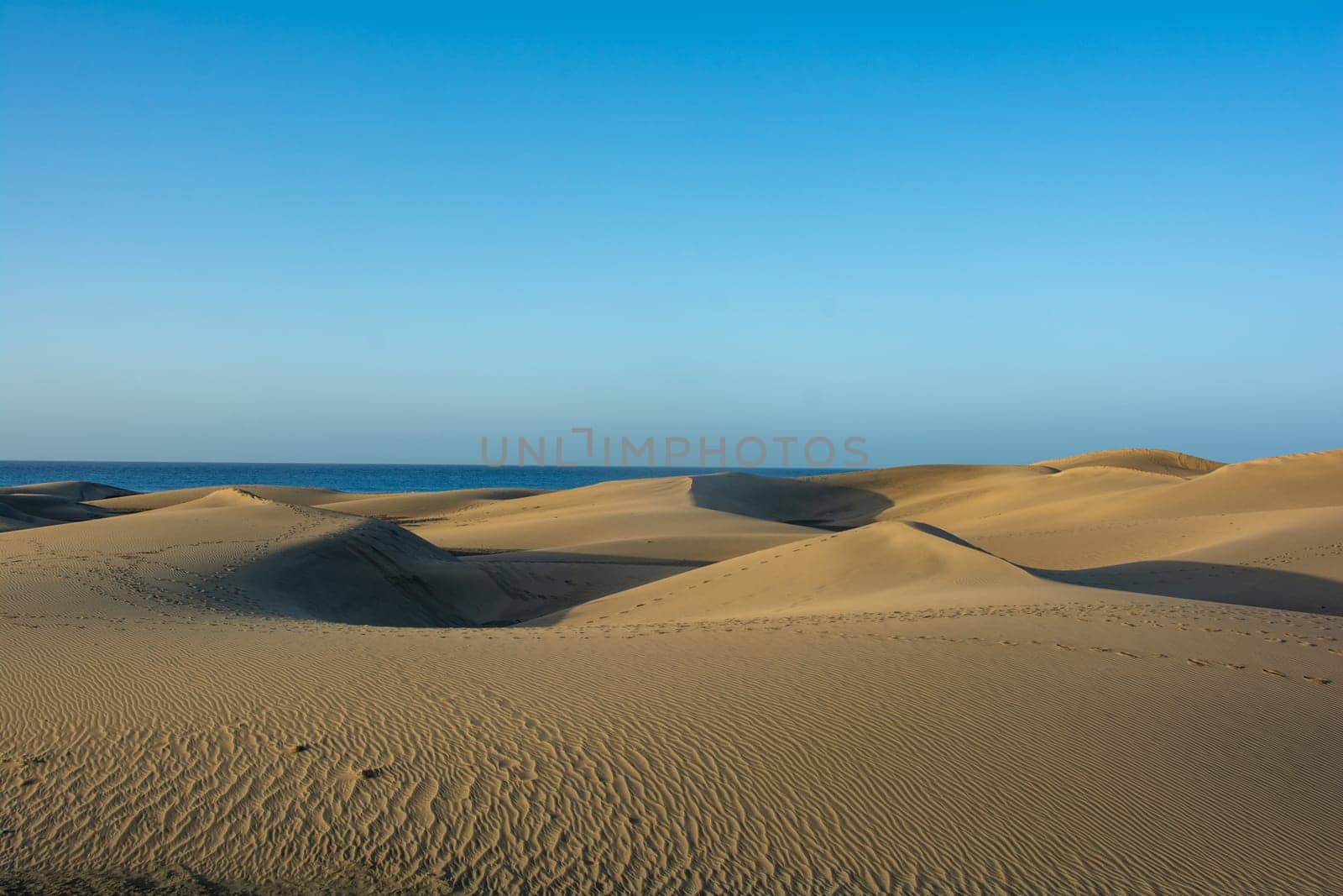 In the dunes of Maspalomas on Gran Canaria in Spain. View of the sea, with blue sky. The huge sand dunes resemble a small desert and are a nature reserve.