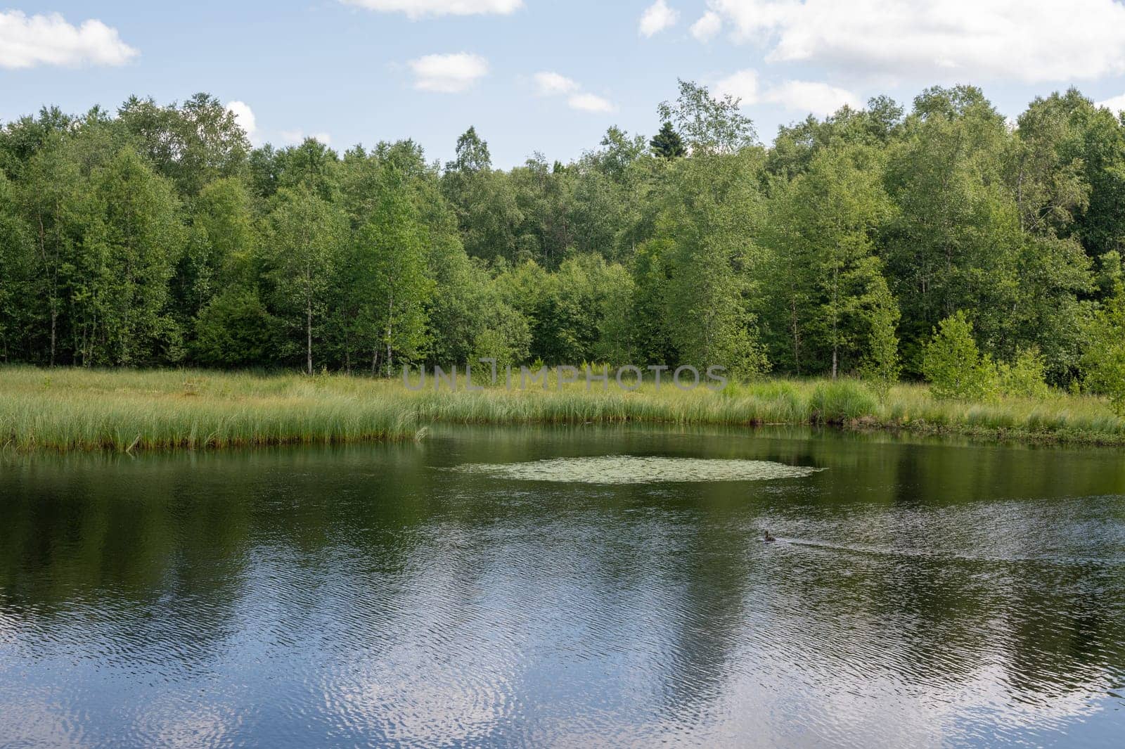 Reservoir at the red moor in the high Rhoen, Hesse, Germany. With blue sky and white clouds and reflection in the water