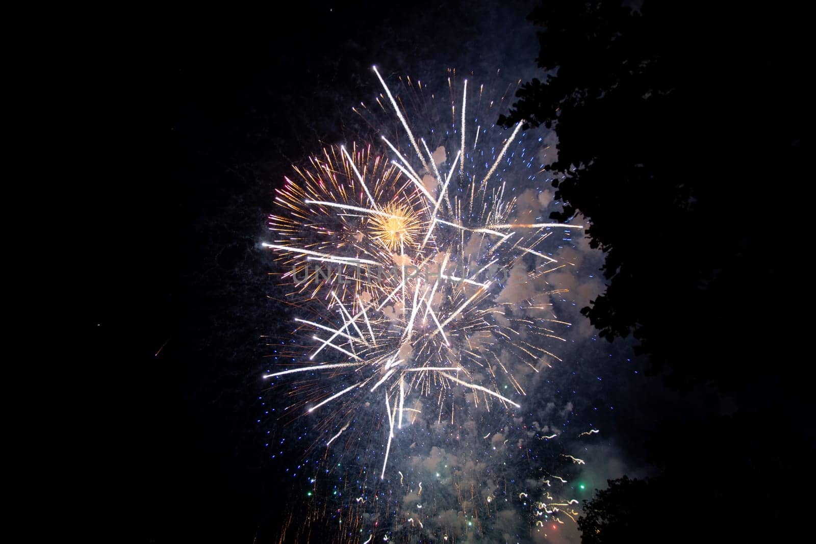 Big colorful fireworks in the black night sky