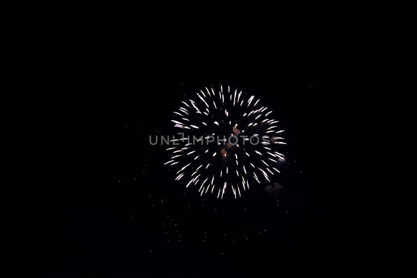 Big colorful fireworks in the black night sky