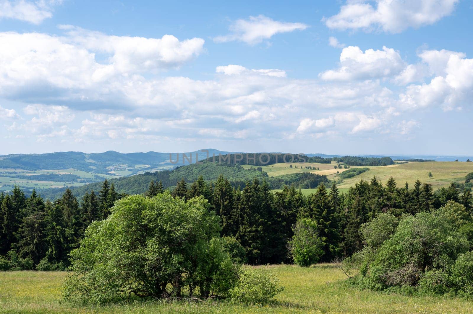 Green Landscape with trees and meadow in the high Rhoen