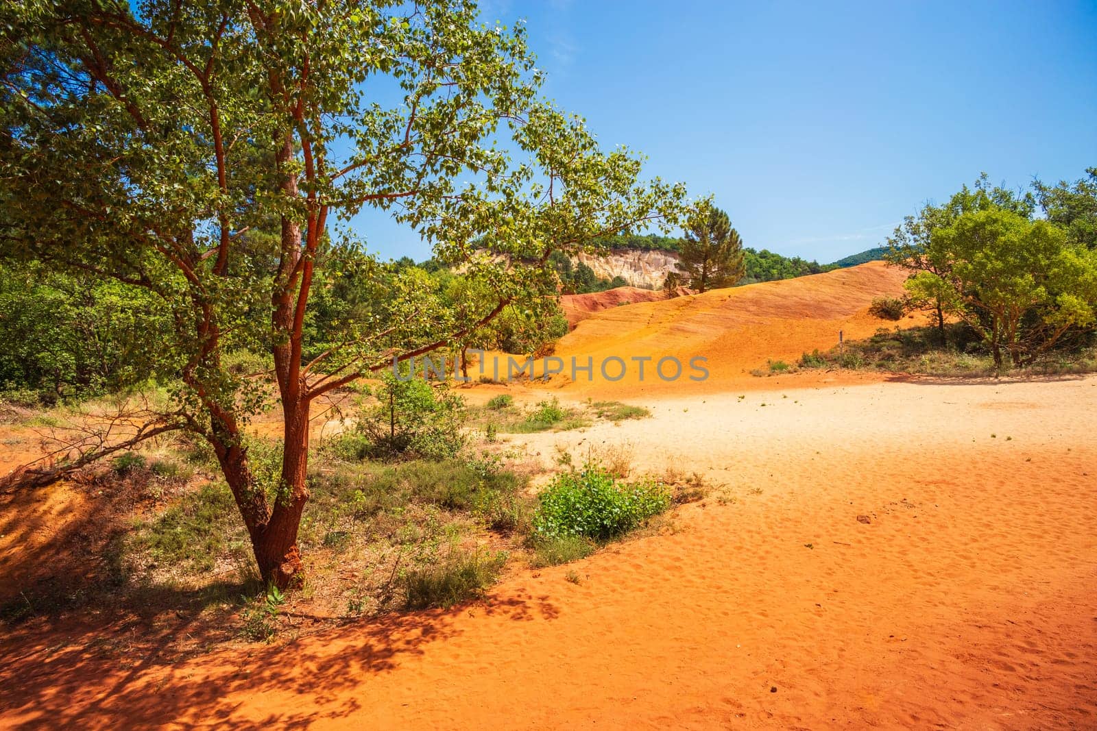 Sunlit scenes in The Provençal Colorado (Le Colorado Provençal). Photography taken in the south of France in the Luberon region where ochre was mined