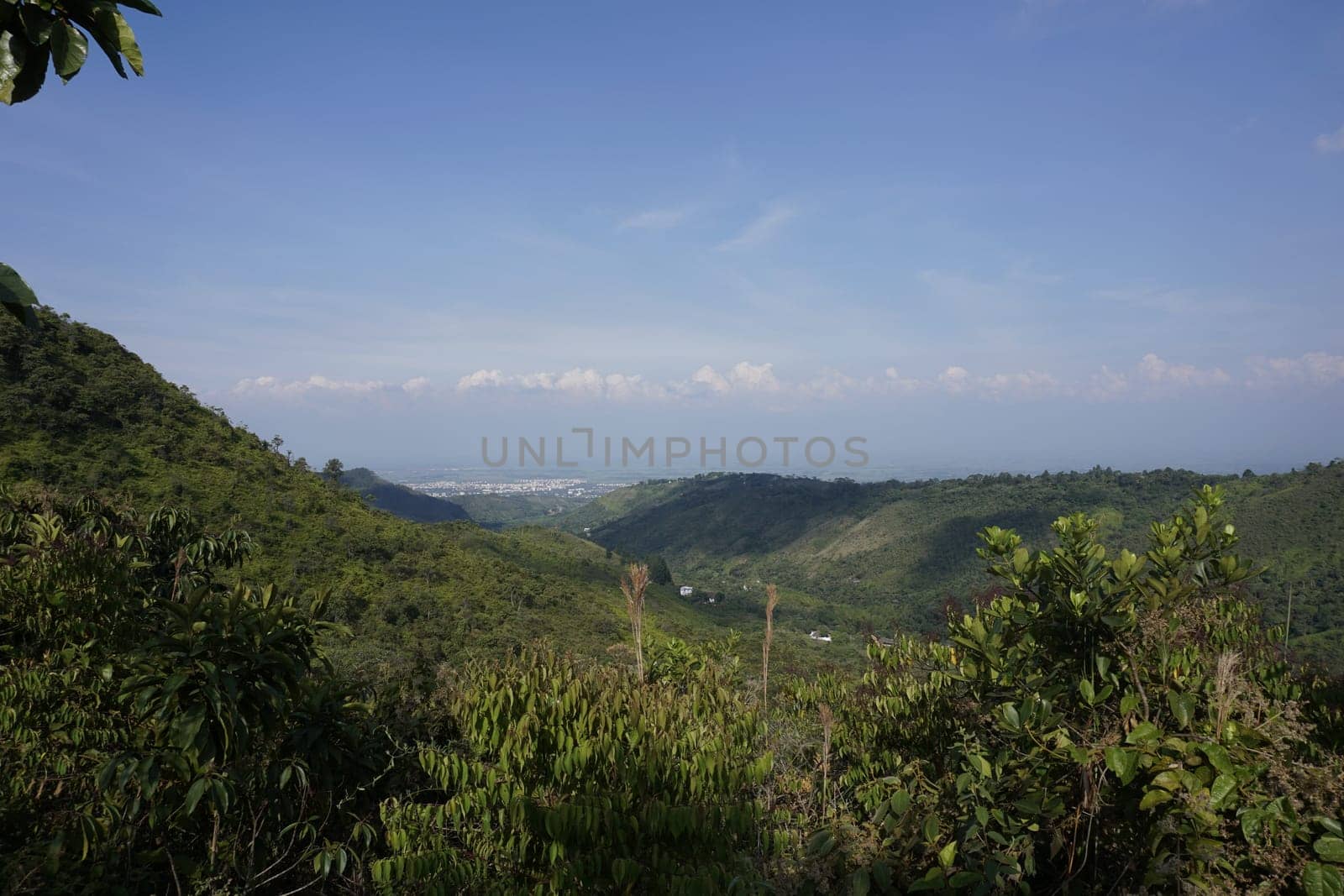 View onto Cali from a distance behind dense rain forest, Colombia 2020