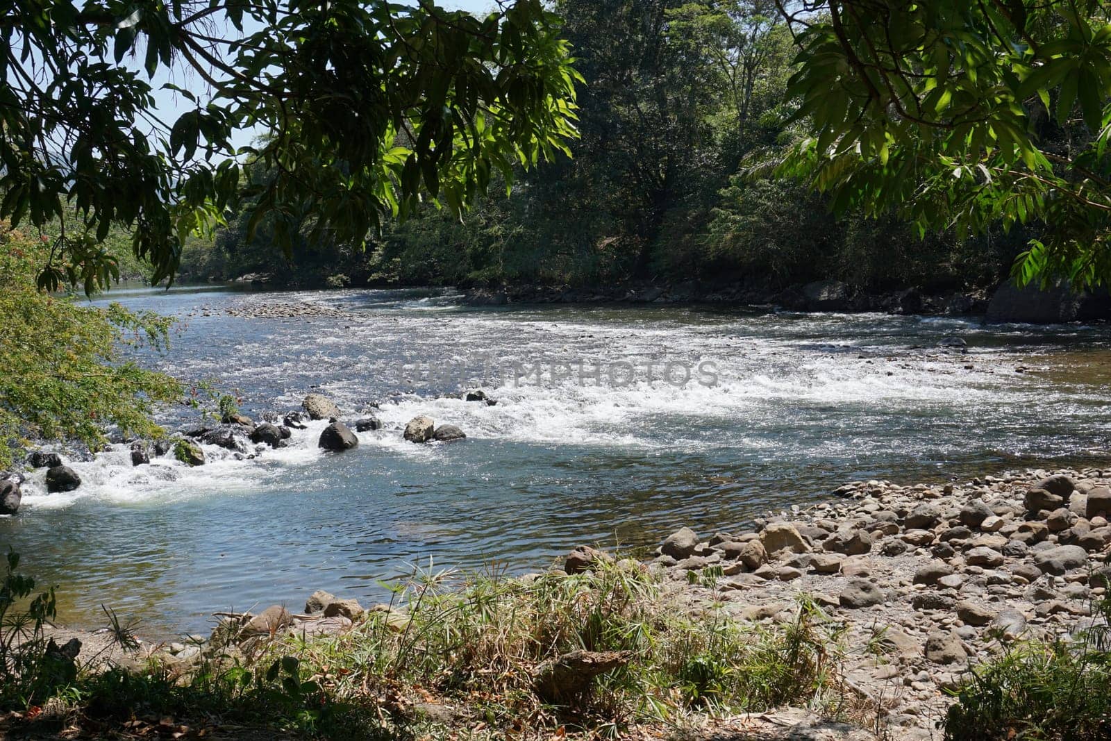 River in the Parque Natural El Gallineral, San Gil, Colombia 2020