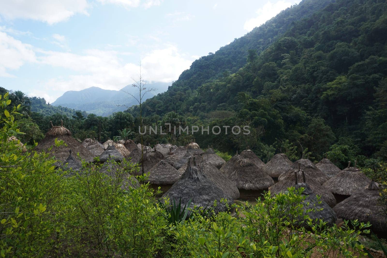Huts of an indigenous village, Kogi Village on the Lost City Trek, Ciudad Perdida, close to Santa Marta, Colombia 2020