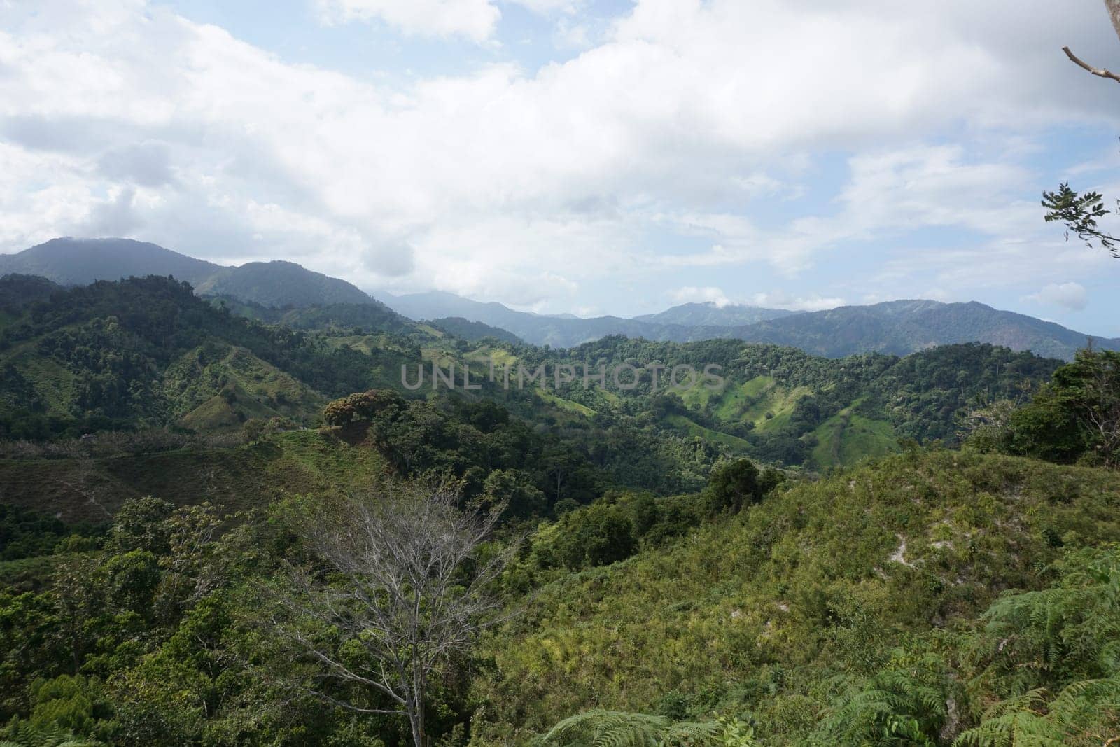 Spectacular view on the lost city trek into the jungle, Ciudad Perdida, close to Santa Marta, Colombia 2020