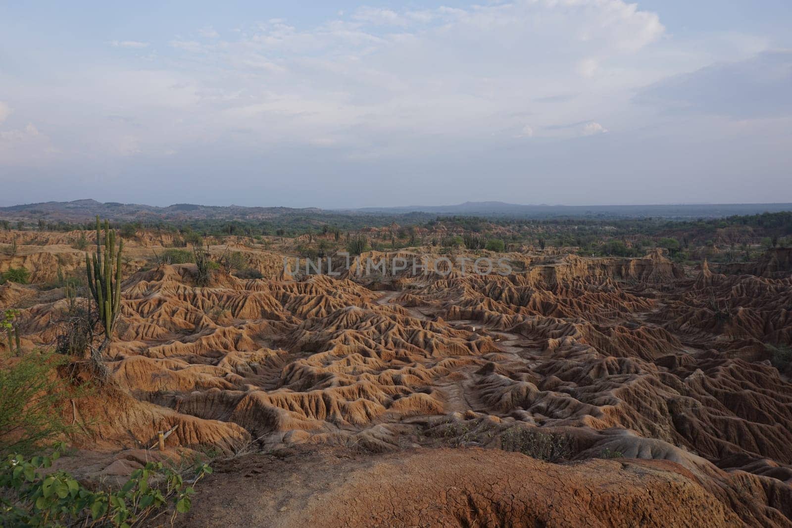 Bizarre lunar landscape with the typical red eroded rock formations in the Tatacoa Desert, Desierto de la Tatacoa, Colombia 2020